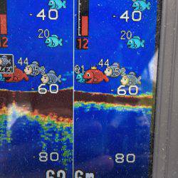 末広丸(熊本) 釣果