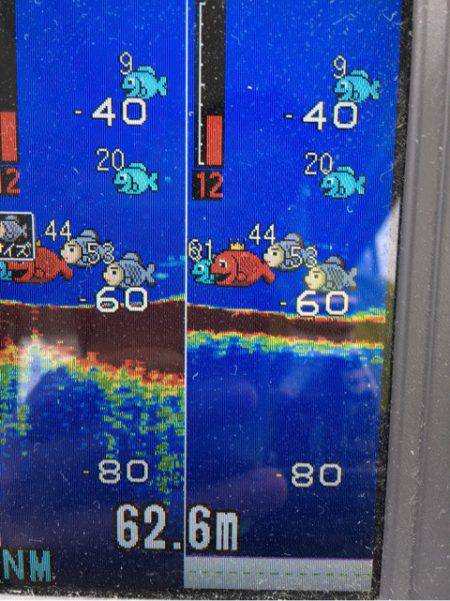 末広丸(熊本) 釣果