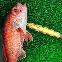 Monster Rush! 釣果