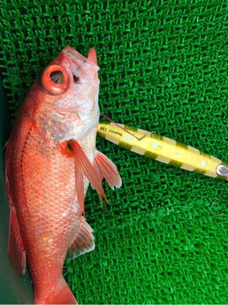 Monster Rush! 釣果