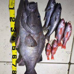 Monster Rush! 釣果