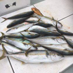 海楽隊 華栞丸 釣果