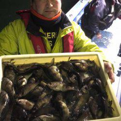 ヤザワ渡船 釣果