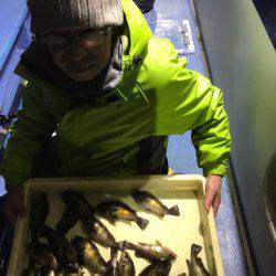 ヤザワ渡船 釣果