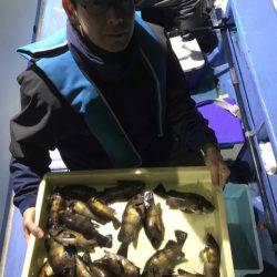 ヤザワ渡船 釣果