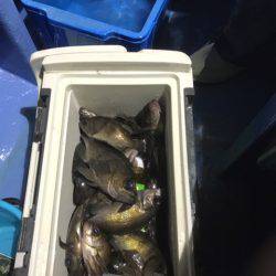 ヤザワ渡船 釣果