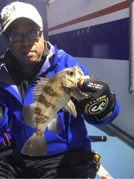 ヤザワ渡船 釣果