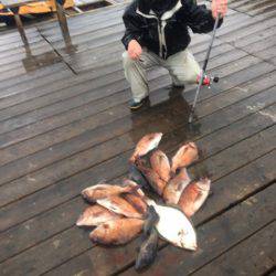 釣り堀水宝 釣果