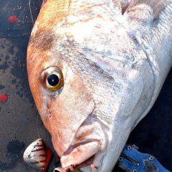渡船屋たにぐち 釣果