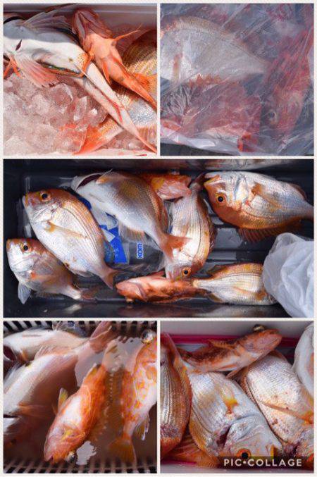 渡船屋たにぐち 釣果