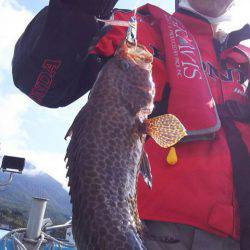 第二 海洋丸 釣果