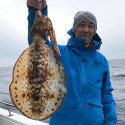 South Current 釣果