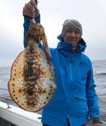 South Current 釣果