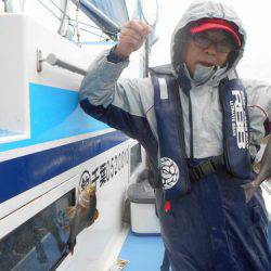 佐衛美丸 釣果