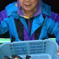 小島丸 釣果