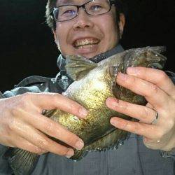 小島丸 釣果