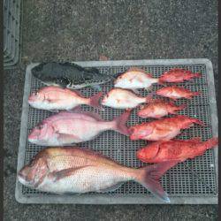 ARCADIAⅡ (アルカディアⅡ) 釣果