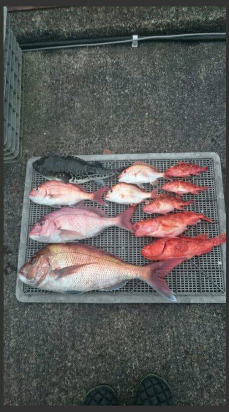 ARCADIAⅡ (アルカディアⅡ) 釣果