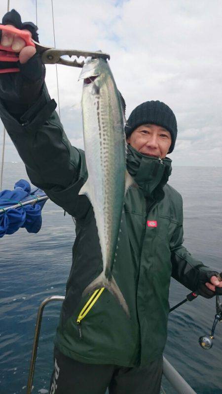 ARCADIAⅡ (アルカディアⅡ) 釣果