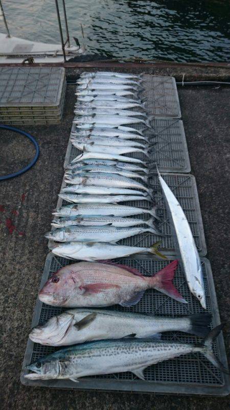 ARCADIAⅡ (アルカディアⅡ) 釣果