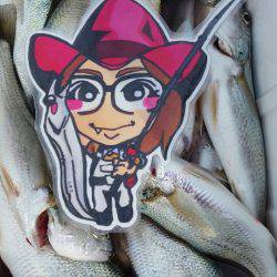 金沢八景鴨下丸 釣果