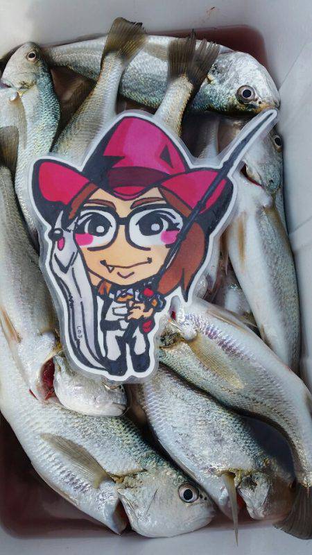 金沢八景鴨下丸 釣果