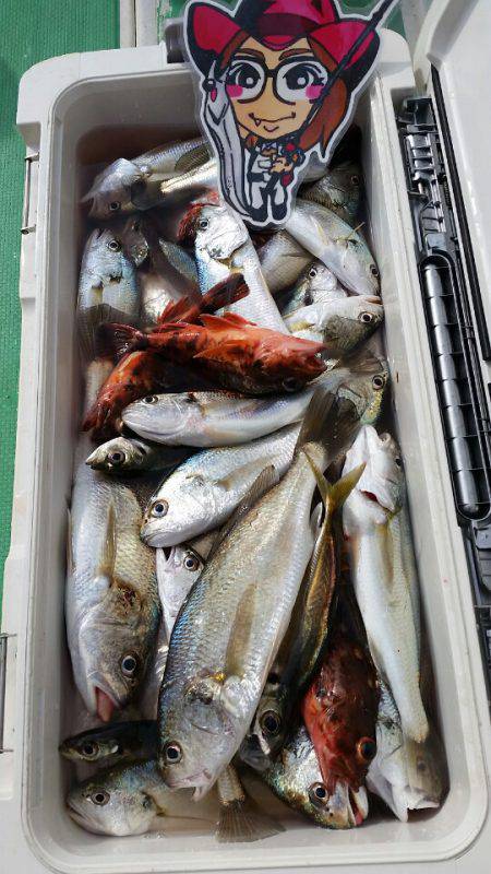 金沢八景鴨下丸 釣果