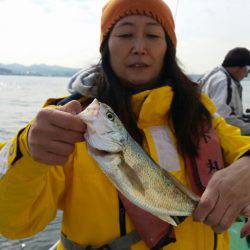 金沢八景鴨下丸 釣果