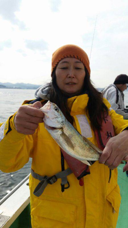 金沢八景鴨下丸 釣果