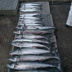 ARCADIAⅡ (アルカディアⅡ) 釣果