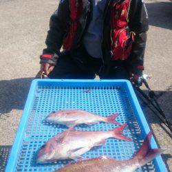 第三共栄丸 釣果