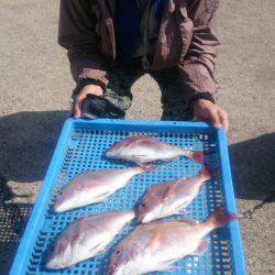 第三共栄丸 釣果