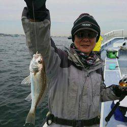 金沢八景鴨下丸 釣果