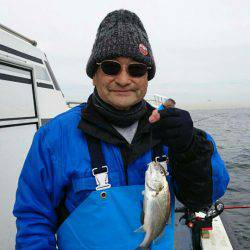 金沢八景鴨下丸 釣果