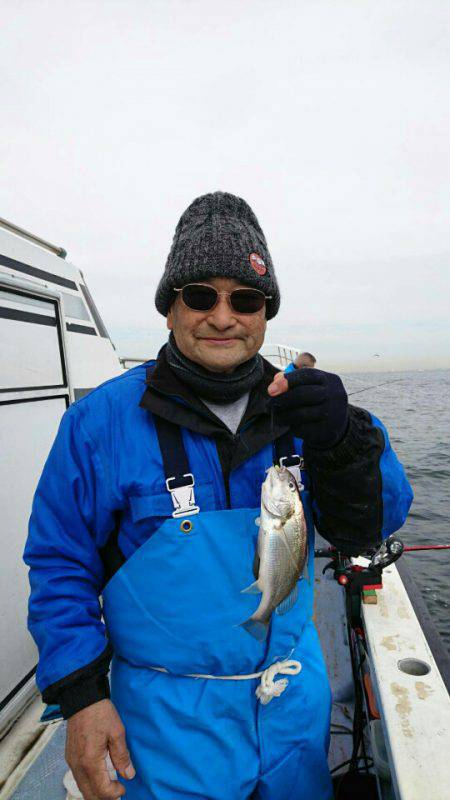 金沢八景鴨下丸 釣果