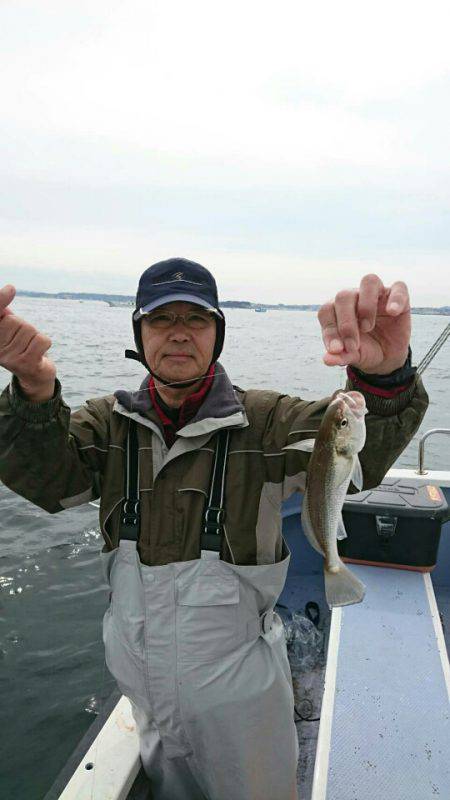 金沢八景鴨下丸 釣果