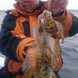 第三共栄丸 釣果