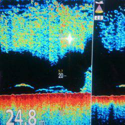 第三共栄丸 釣果