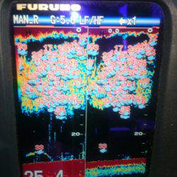 第三共栄丸 釣果