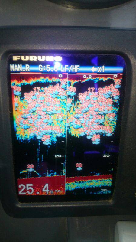 第三共栄丸 釣果