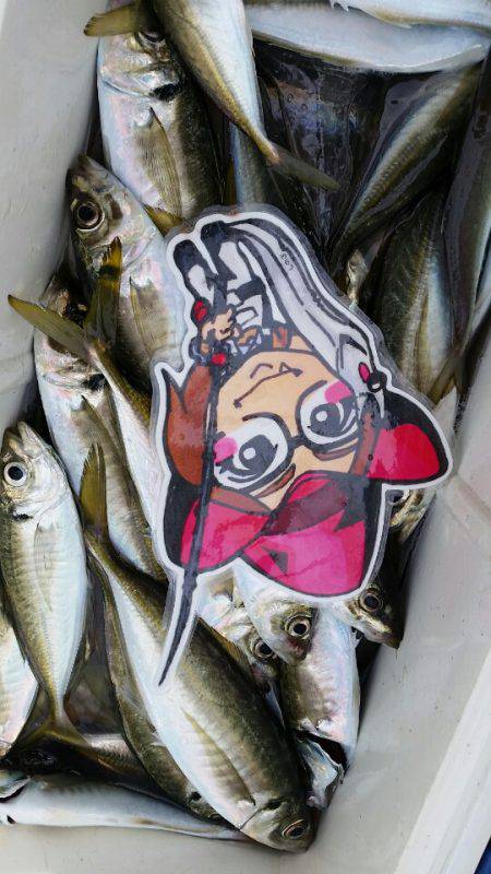 金沢八景鴨下丸 釣果