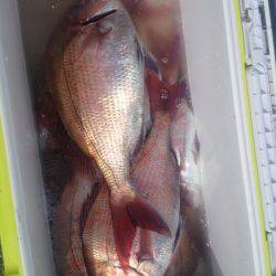 第三共栄丸 釣果