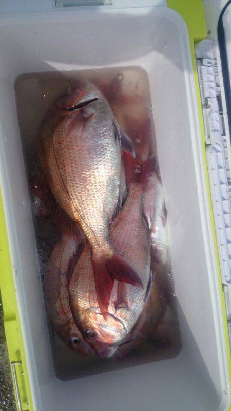 第三共栄丸 釣果