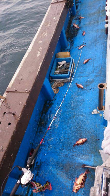 海龍丸（石川） 釣果