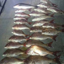 FISHING RISKY 釣果