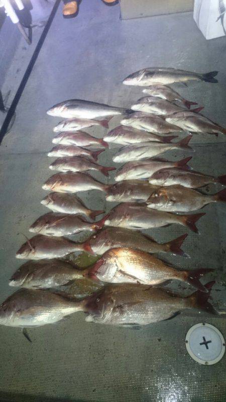 FISHING RISKY 釣果