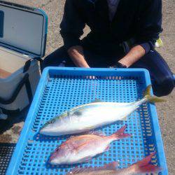 第三共栄丸 釣果