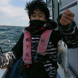 金沢八景鴨下丸 釣果