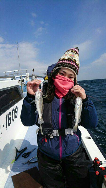 金沢八景鴨下丸 釣果