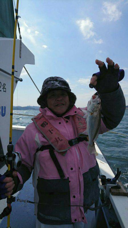 金沢八景鴨下丸 釣果